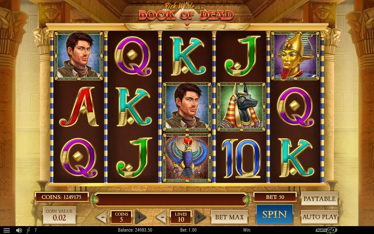 Book of Dead feature overlay during the session showing the round-counter indicator above the reel set with the bonus state active