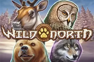 Demo play Play'n GO — Wild North