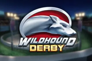 Demo play Play'n GO — Wildhound Derby