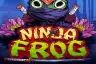 Ninja Frog slot demo by Popiplay